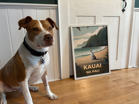 The Shelter Dog Field Trip That Changed My Life - Out of Office Outfitters