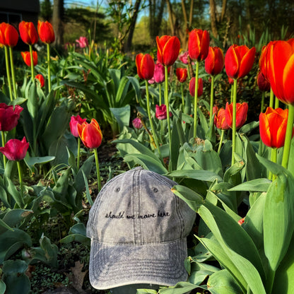 Gray cap with text "should we move here" on a bed of red and pink tulips